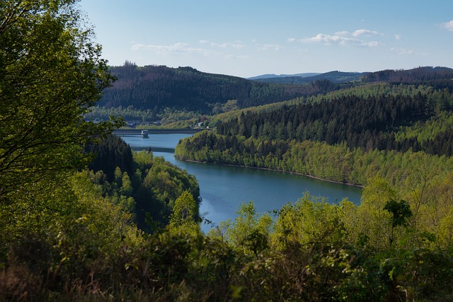 Immobilienmakler Siegen